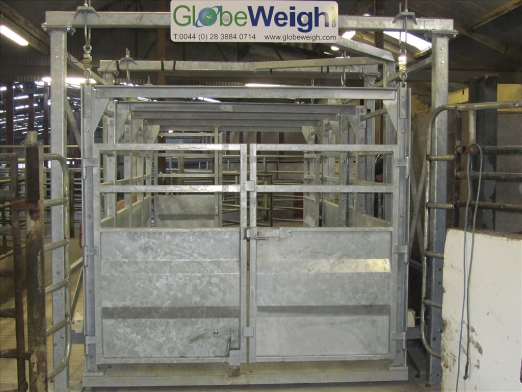 Livestock Weighing